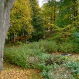 Motorola Moto G 2014 HDR-Testfoto