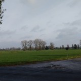 Motorola Moto G 2014 Testfoto