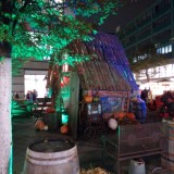 Motorola Moto G 2014 Testfoto