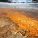 Xiaomi Mi 5s Android Smartphone