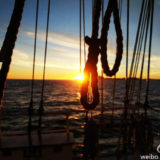 Xiaomi Mi 5s Android Smartphone