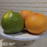 Google Pixel 3 Lite Sample