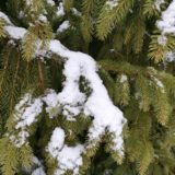 Honor View 20 Kamera Sample