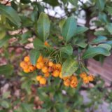 Honor View 20 Kamera Sample