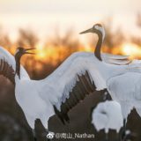 Oppo Reno Foto Sample