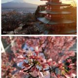 Oppo Reno Foto Sample