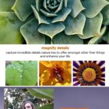 Motorola One Macro Teaser