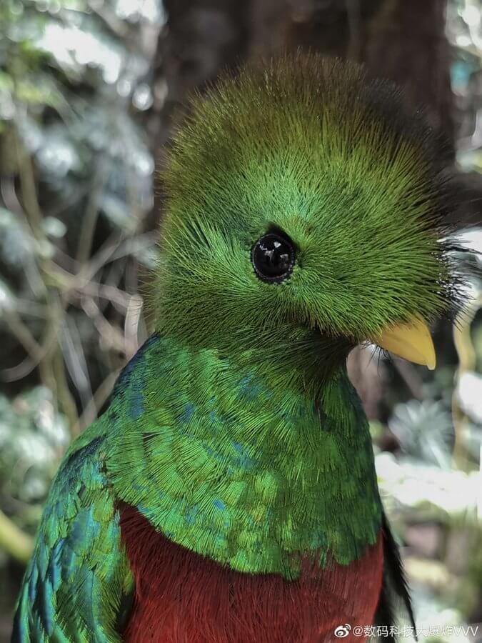 Huawei P40 Kamera Sample