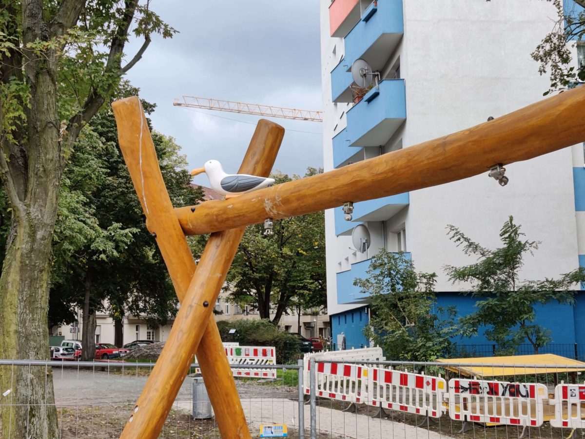 OnePlus 8T Kamera-Sample