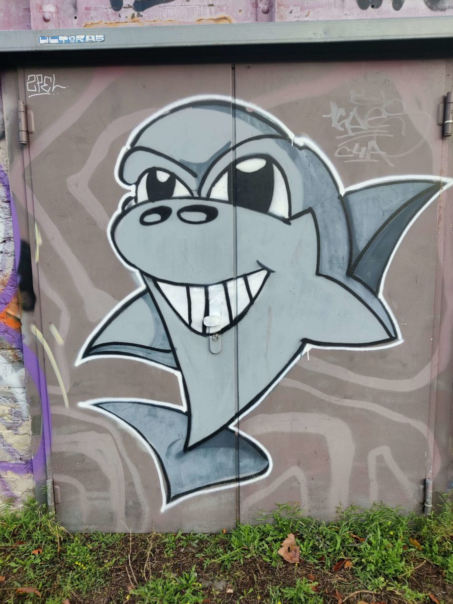 OnePlus 8T Kamera-Sample