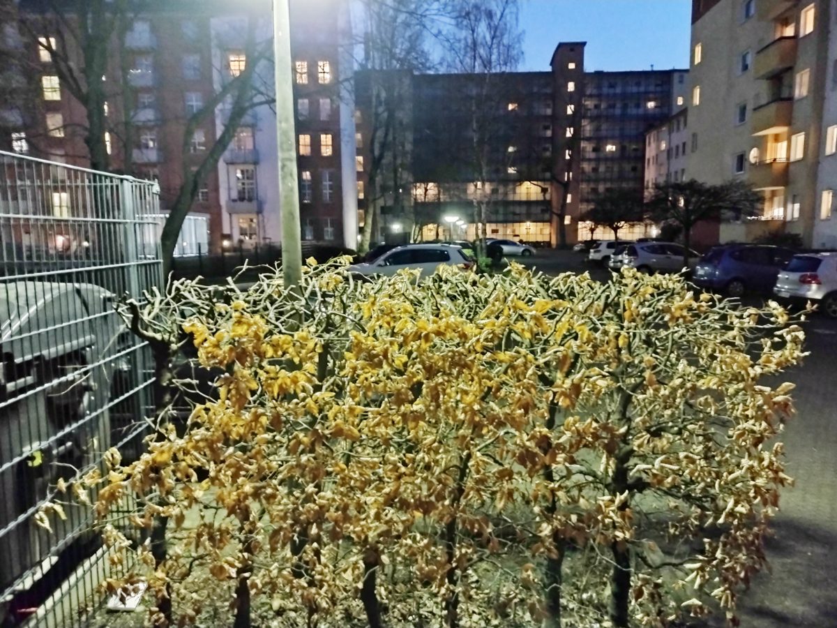 Motorola Moto G30 Kamera-Sample Nachtsicht