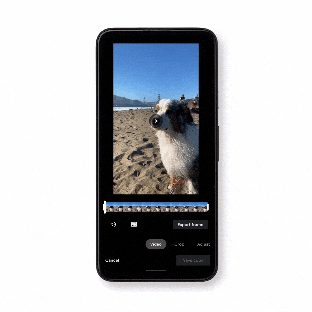 Google Photos GIFs Video Editor Google Photos GIFs Video Editor