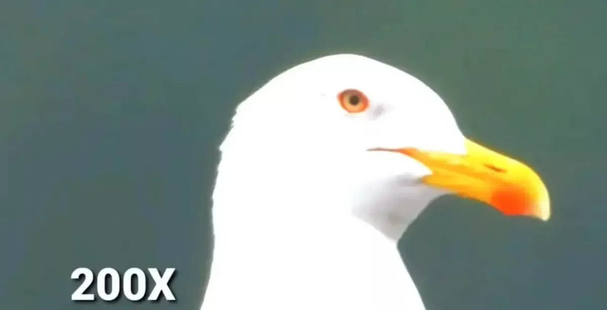 Huawei P50 Pro+ Kamera-Sample Huawei P50 Pro+ Kamera-Sample