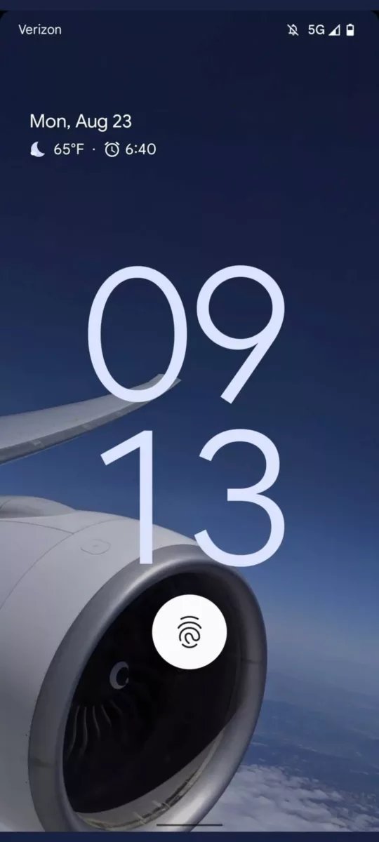 Google Pixel 6 Pro Screen Google Pixel 6 Pro Screen