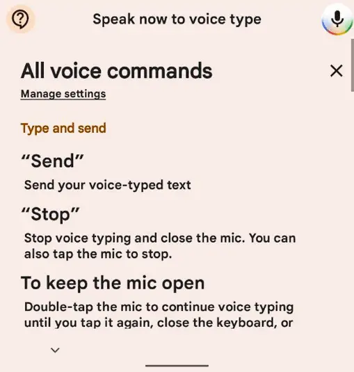 Google Assistant Voice Type Command