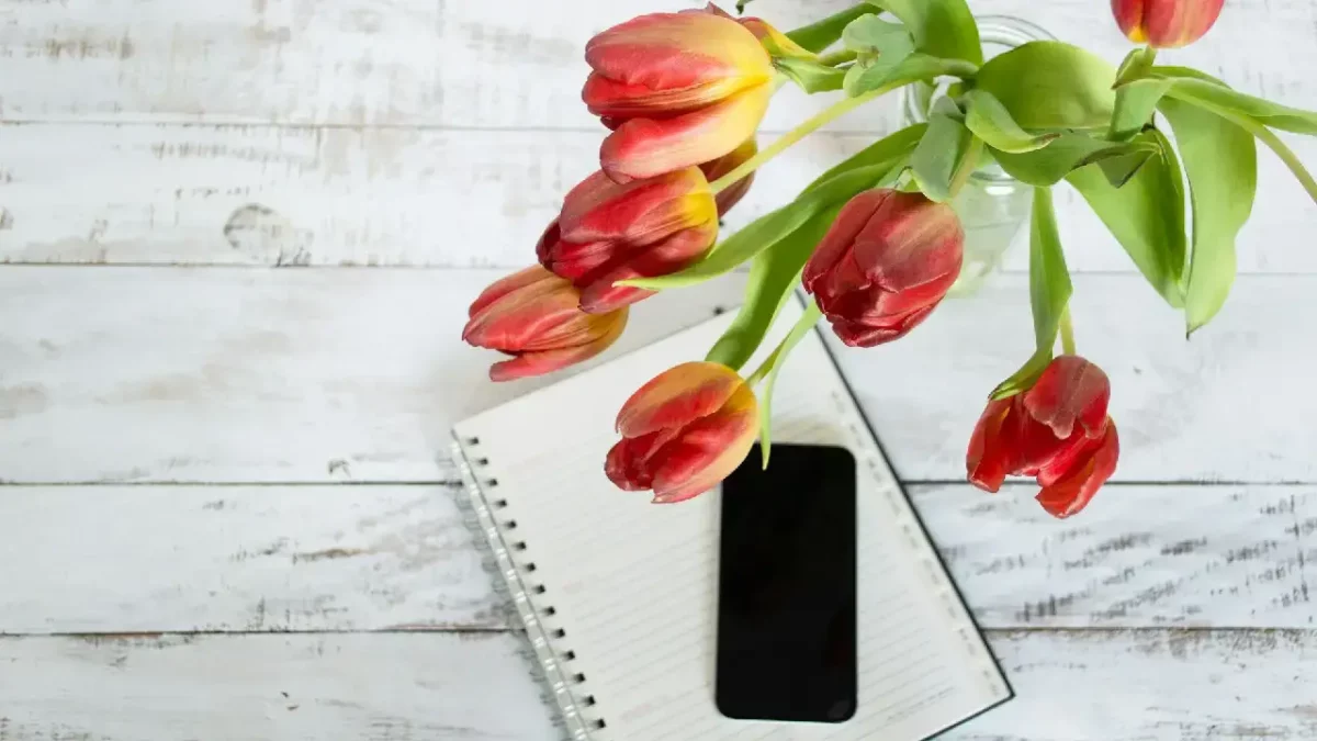 debby-hudson-ImsBj2r2U-Q-unsplash debby-hudson-ImsBj2r2U-Q-unsplash