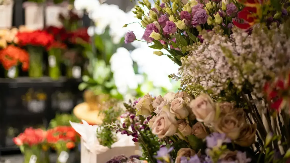 sonia-fotograf-sz7NTRGFDHA-unsplash sonia-fotograf-sz7NTRGFDHA-unsplash