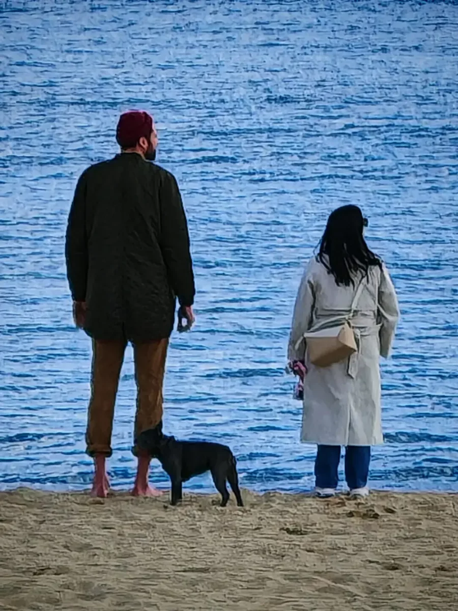 Honor Magic 6 Pro Testbericht