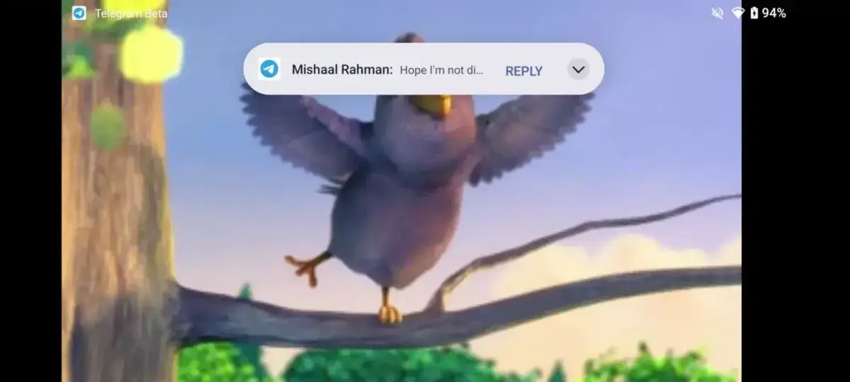 Android 15 compact heads up notification Android 15 compact heads up notification