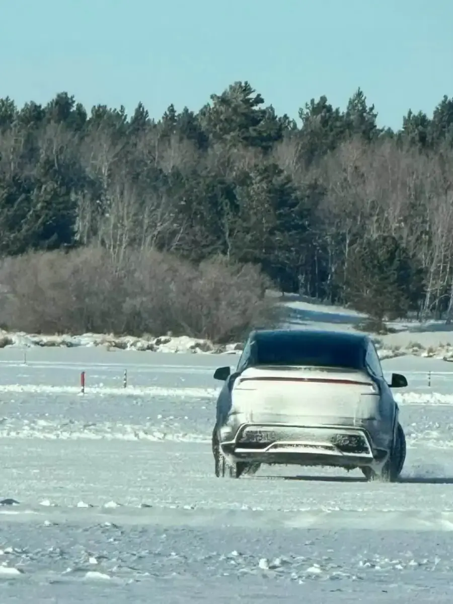 Tesla Model Y Juniper Tesla Model Y Juniper