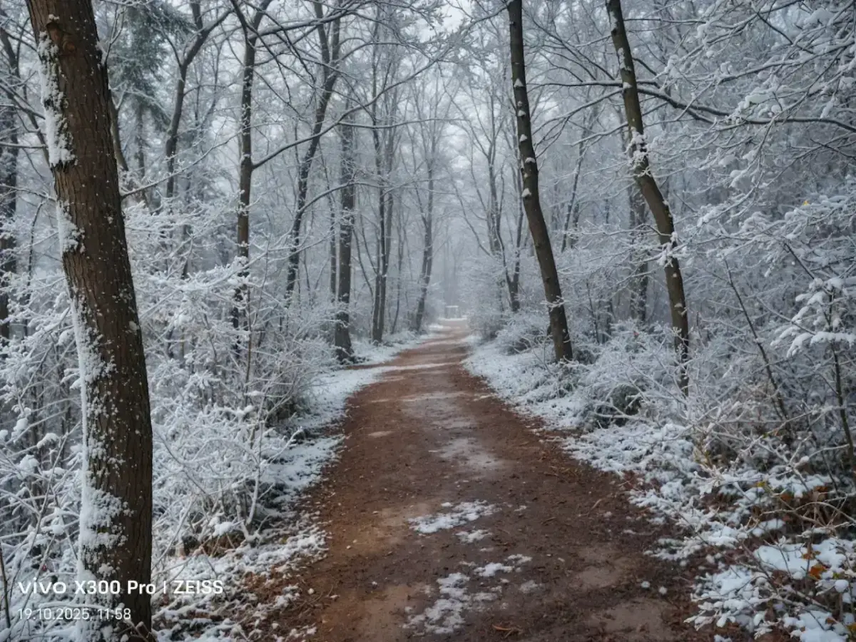 Vivo X300 Pro KI Winter
