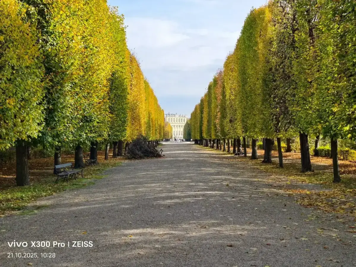 Vivo X300 Pro Kamera-Sample Zoom1