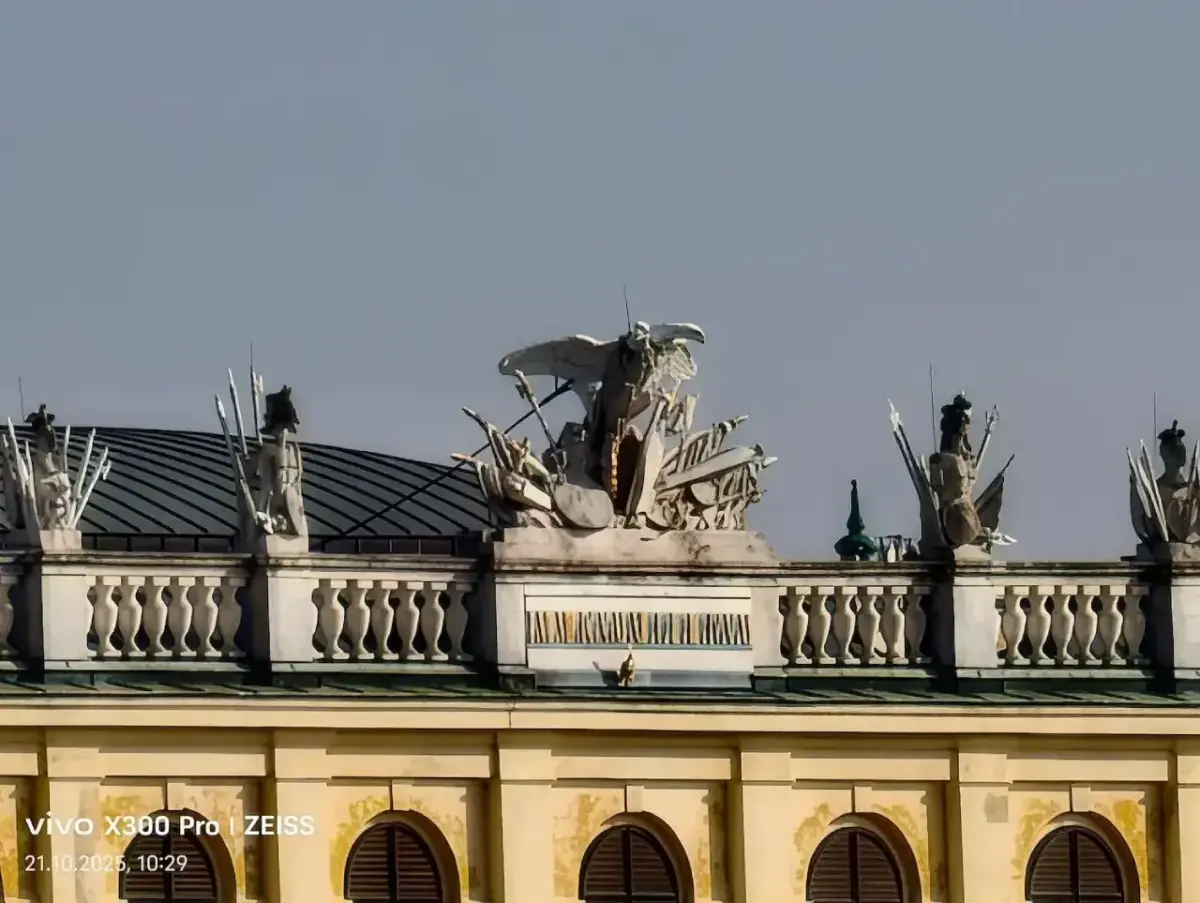 Vivo X300 Pro Kamera-Sample Zoom50