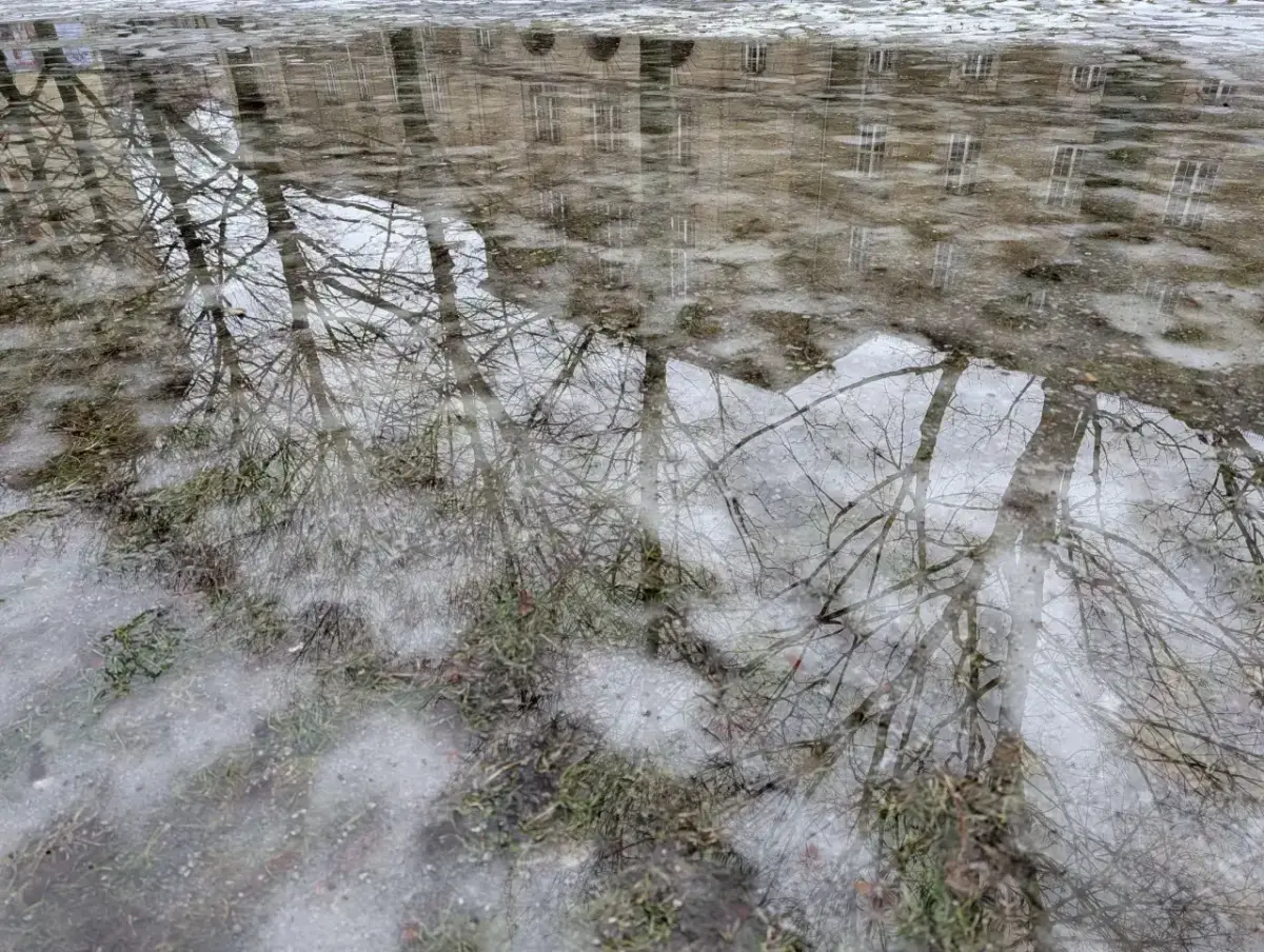 Google Pixel 10 Pro Kamera Sample