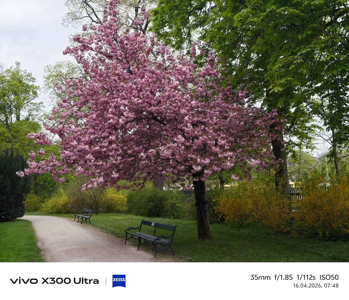 Vivo X300 Ultra Kamera Sample Vivo X300 Ultra Kamera Sample