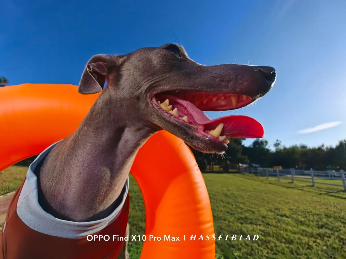 Kamera Sample des Oppo Find X10 Pro Max Kamera Sample des Oppo Find X10 Pro Max