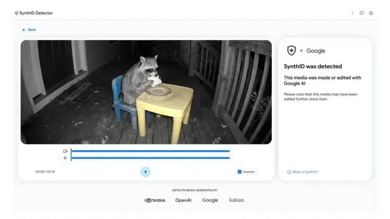 Raccoon Video SynthIDDetector