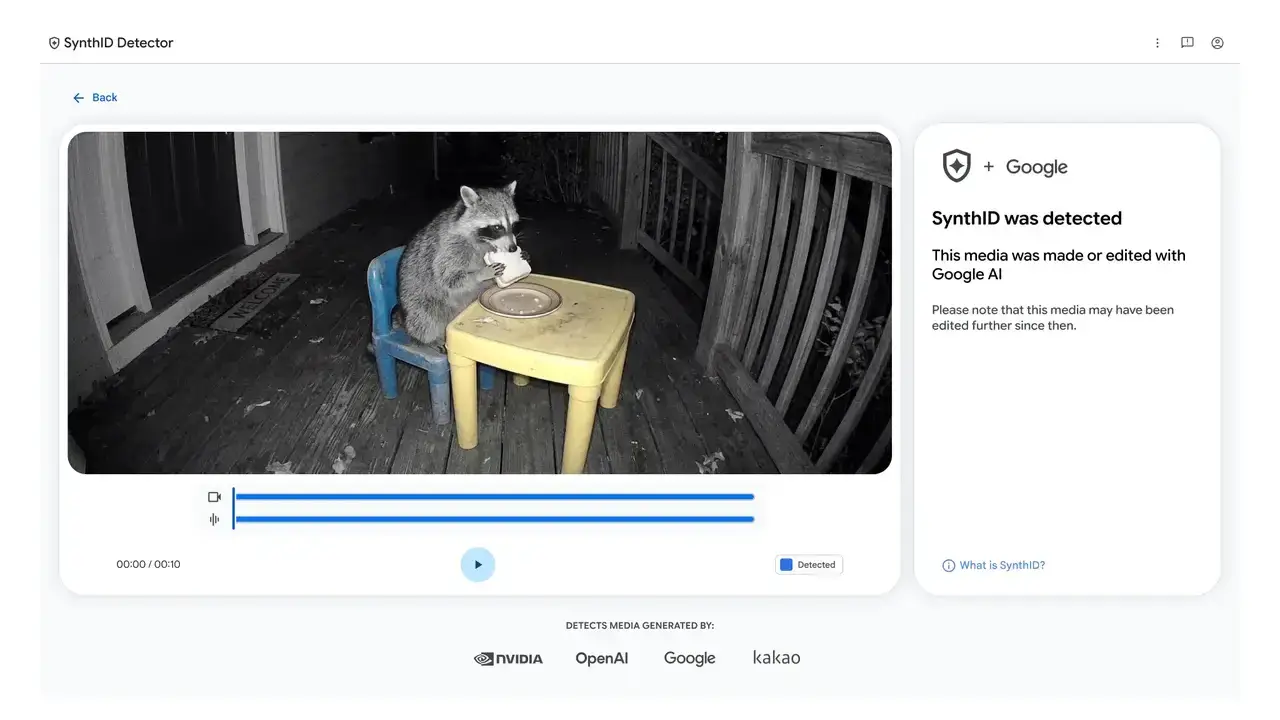 Raccoon Video SynthIDDetector